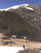 Mt Bogong - above the snow-line