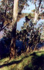 Chgold5.JPG (15720 bytes)