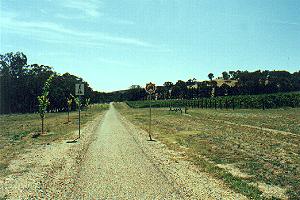 Myrail6.JPG (17292 bytes)