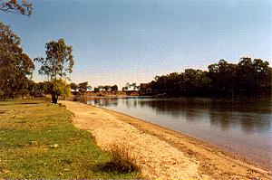 Rucamp4.JPG (15951 bytes)