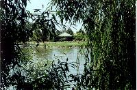 Wdsump6.JPG (12757 bytes)